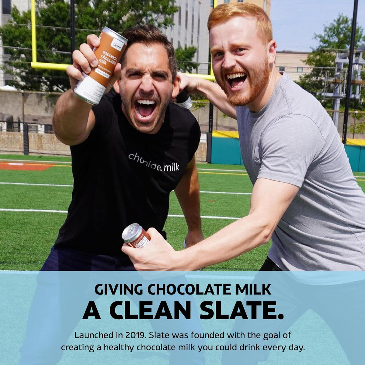 Slate Milk Dark Chocolate 20g High Protein Milk Shake (12 Cans)